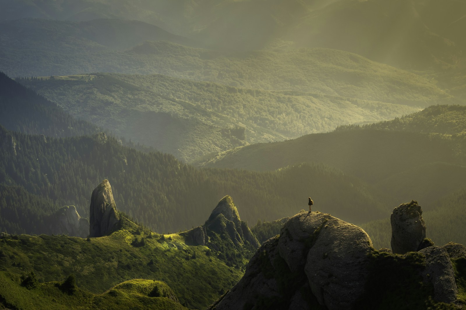 Sainina Hill - rising with purpose across the hills